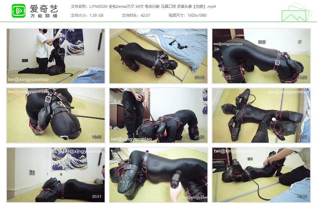 【鹿角与猫爪】 全包Zentai伪娘爪爪 k9犬电击 马具口球皮革头套-HD绳艺资源网