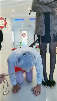 【媚娘工作室】双S-四肢固定彻底犬化训练 JS241125-31-HD绳艺资源网